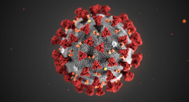Il Web Marketing ai tempi del Corona-virus: cosa posso fare?