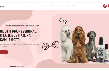 Creazione Ecommerce Overline Merini