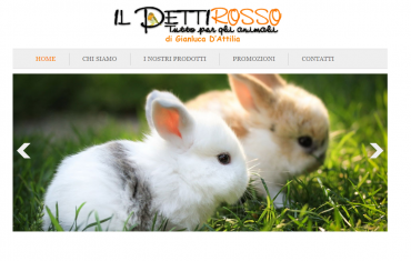 Il Pettirosso - <p><strong>Il Pettirosso</strong>&nbsp;&egrave; un negozio di Genazzano specializzato nella vendita di attrezzature ed accessori per animali.</p>
