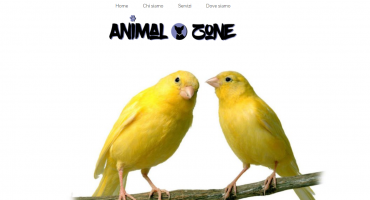Realizzazione sito web Animal Zone - Servizi per animali domestici
