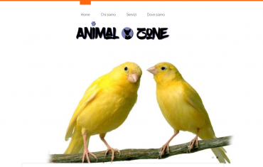 Animal Zone - <p>Animal Zone &egrave; un negozio che si occupa della vendita di animali e di accessori e alimenti per animali.</p>
