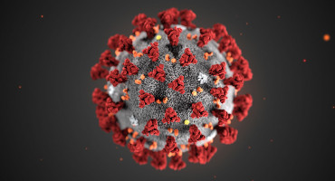 Il Web Marketing ai tempi del Corona-virus: cosa posso fare?