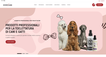Creazione Ecommerce Overline Merini